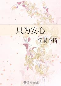 只为安心封面