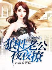 宠婚缠绵：狼性老公，夜夜撩封面