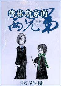 HP普林斯家两兄弟封面