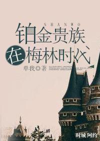铂金贵族在梅林时代封面