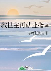 救世主再就业指南封面