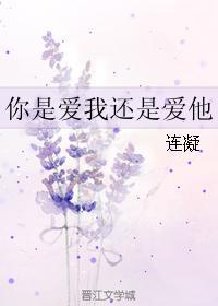 你是爱我还是爱他封面