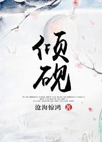 倾砚封面