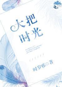大把时光封面