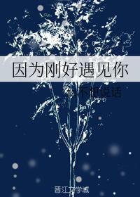 因为刚好遇见你封面