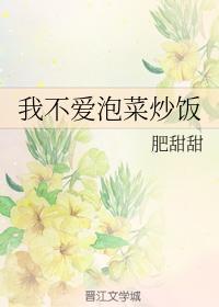 我不爱泡菜炒饭封面