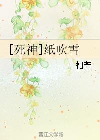 [死神]纸吹雪封面