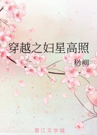 穿越之妇星高照封面