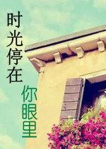 时光停在你眼裏封面
