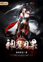 神魔因果封面