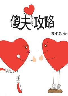 傻夫攻略封面