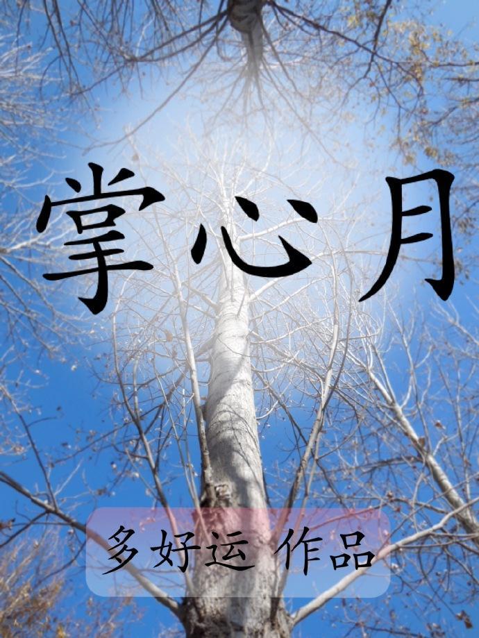 掌心月封面