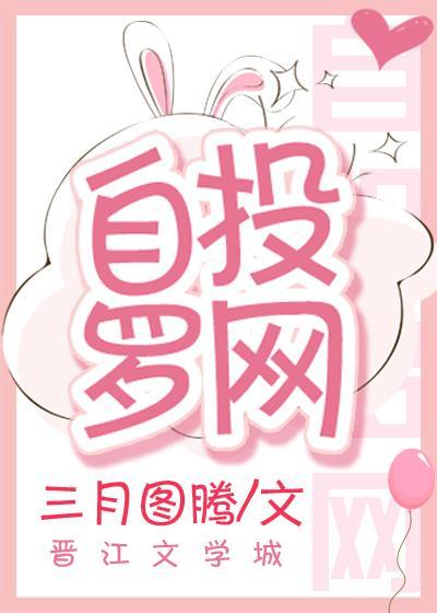 自投罗网封面