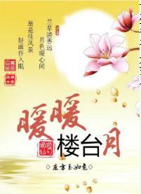 旺家小绣娘封面