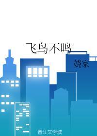 飞鸟不鸣封面