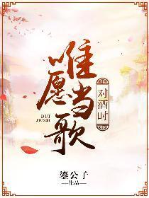 唯愿当歌对酒时封面