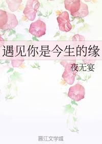 遇见你是今生的缘封面