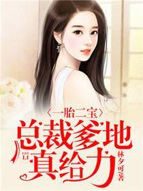 一胎二宝：总裁爹地真给力封面