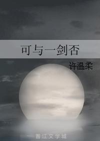 可与一剑否封面