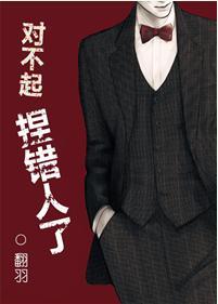 对不起捏错人了封面
