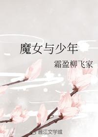 魔女与少年封面