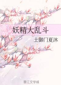 妖精大乱斗封面