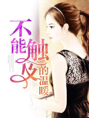 不能触及的温暖封面