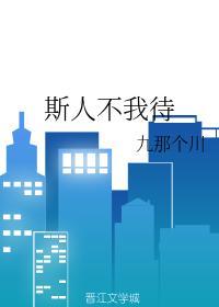 斯人不我待封面