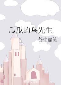 瓜瓜的乌先生封面