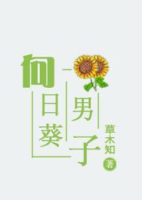 向日葵男子封面