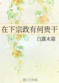 在下宗政有何贵干封面