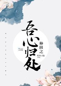 种田之吾心归处封面