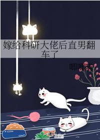 嫁给科研大佬后直男翻车了封面