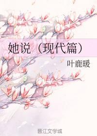 她说（现代篇）封面