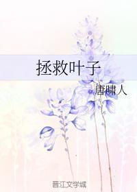 拯救叶子封面