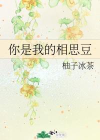 你是我的相思豆封面