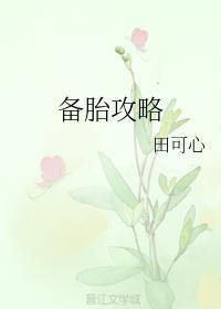 备胎攻略封面