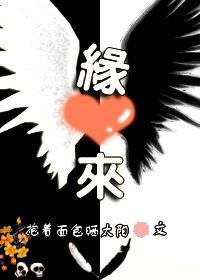 缘来（穿越）封面