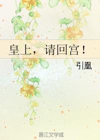 皇上，请回宫！封面