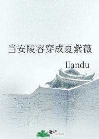 当安陵容穿着夏紫薇封面