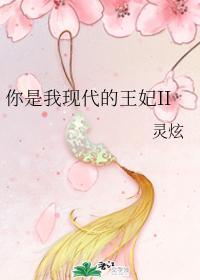 你是我现代的王妃1+2封面