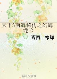 天下3南海秘传之幻海龙吟封面