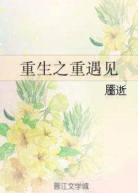 重生之重遇见封面