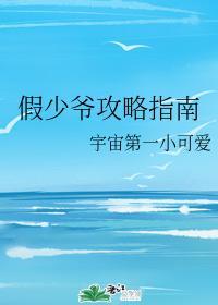 假少爷攻略指南封面