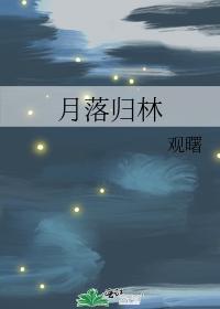 月落归林封面