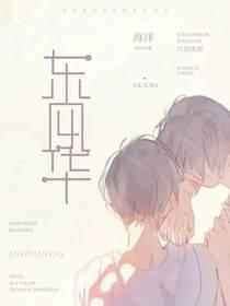 东风华封面