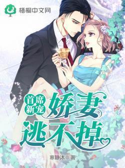 首席新宠：娇妻逃不掉封面