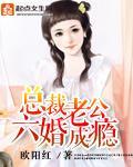 总裁老公六婚成瘾封面