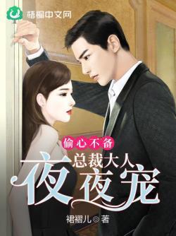 偷心不备：总裁大人夜夜宠封面