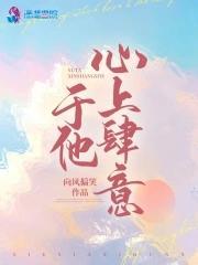 于他心上肆意封面